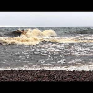 Meet your Posher, Leia